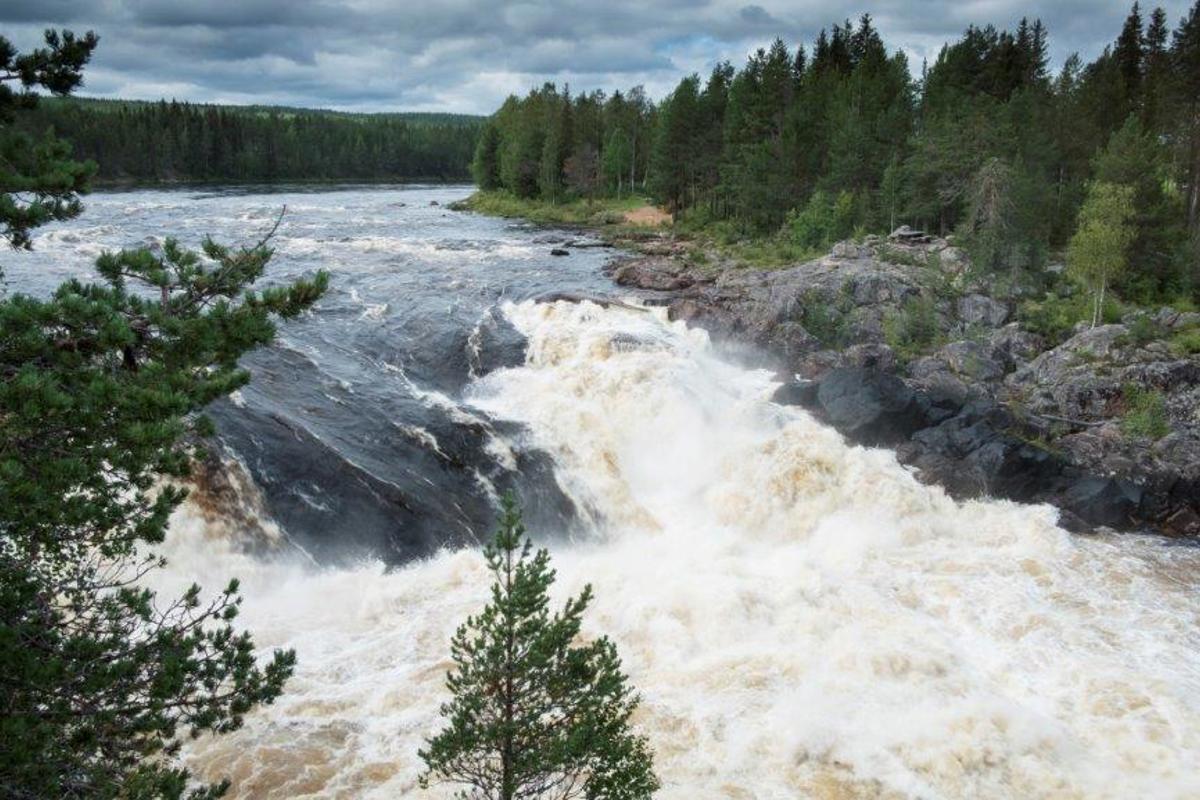 instalco-och-naturskyddsfoereningen-i-samarbete-foer-renare-vatten.jpg